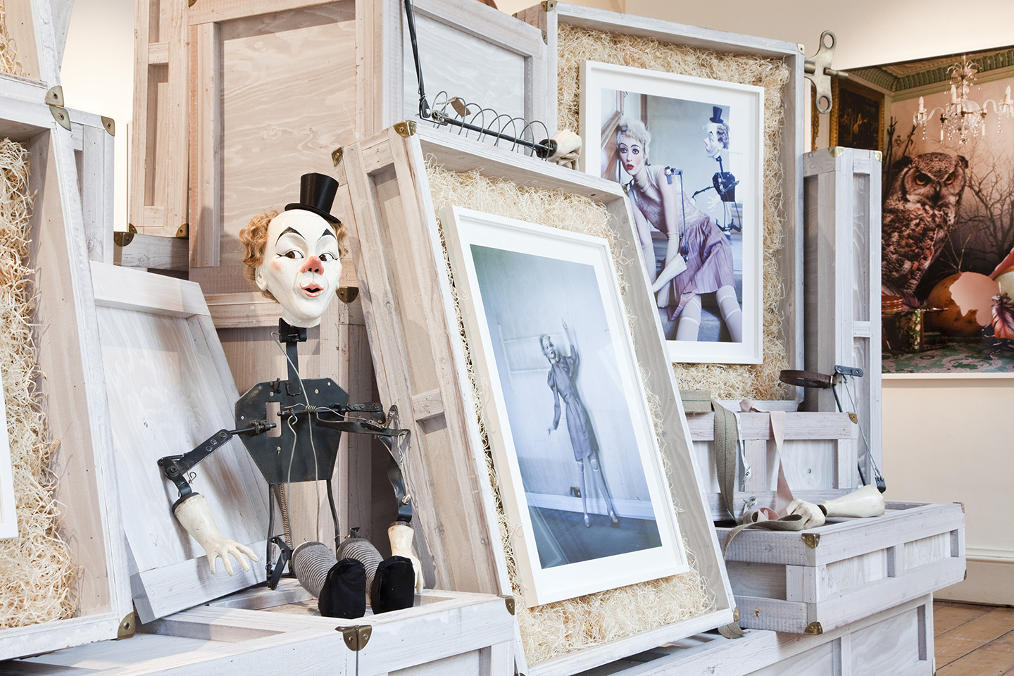Tim Walker: Story Teller: Muir, Robin, Walker, Tim, Bush